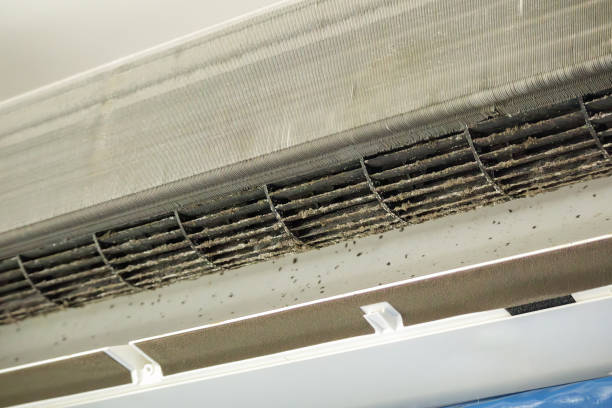 Best Affordable Duct Cleaning Services  in Village Of Oak Creek, AZ
